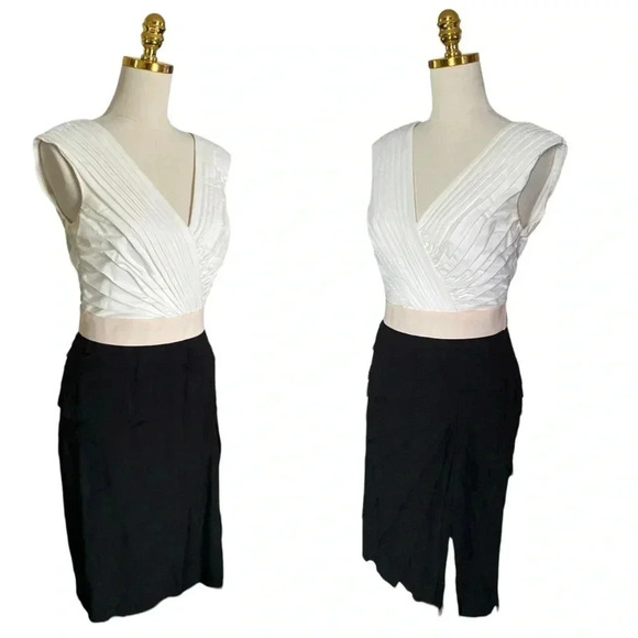 TADASHI SHOJI | Pleated Ivory/Black Sleeveless Crepe Midi Sheath Dress Size 6 - Picture 4 of 12